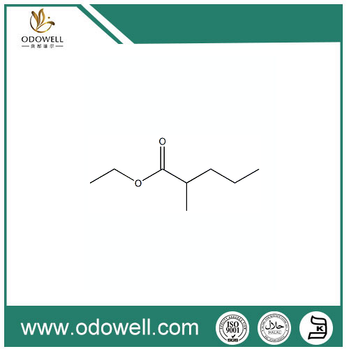 ETHYL 2-MEYYYLPENTANOATE