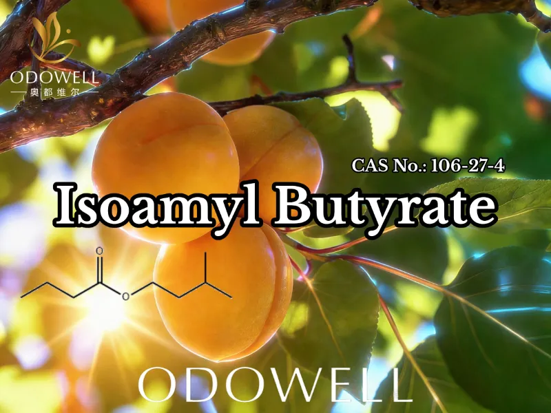 ODOWELL चव आणि सुगंध अनुप्रयोगांसाठी Isoamyl Butyrate (CAS 106-27-4) ची शिफारस करते