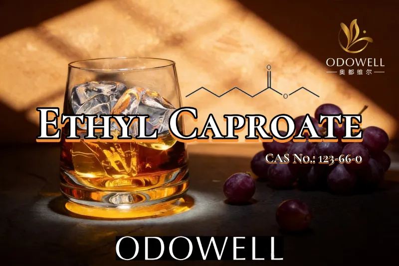 ODOWELL फ्रूटी आणि वाइन सारखी फ्लेवर ऍप्लिकेशन्ससाठी इथाइल कॅप्रोएटची शिफारस करते