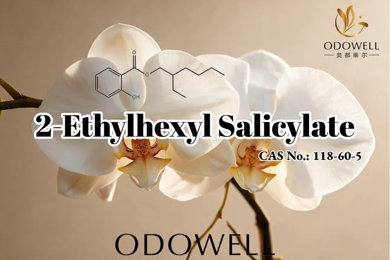 ODOWELL सुगंध, सौंदर्य प्रसाधने आणि वैयक्तिक काळजी अनुप्रयोगांसाठी 2-इथिलहेक्साइल सॅलिसिलेटची शिफारस करते