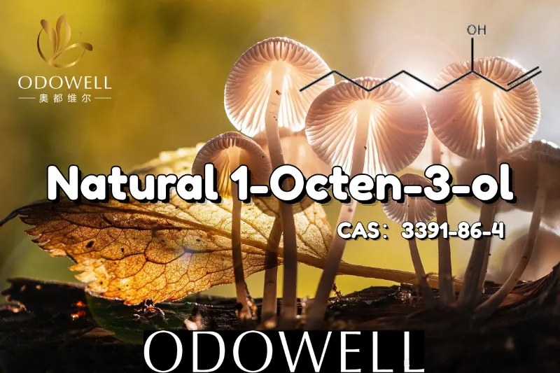 ODOWELL मशरूम सारख्या आणि मातीच्या चवींच्या ऍप्लिकेशन्ससाठी नैसर्गिक 1-Octen-3-ol ची शिफारस करते