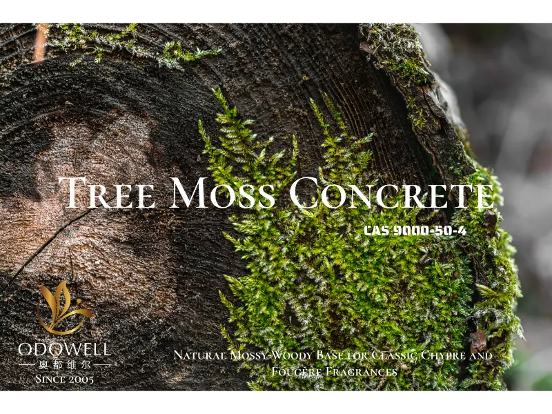 Tree Moss Concrete (CAS 9000-50-4)